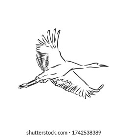 crane bird icon. bird crane vector sketch illustration