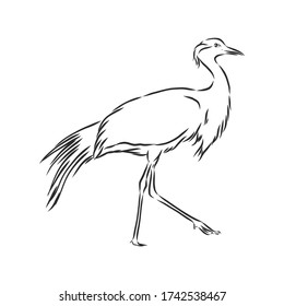 Kranvogelsymbol Skizze für Vogelkrane