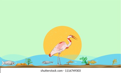 Crane Bird looking for fish