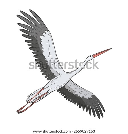 Crane bird in realistic style, high quality detail. Vector illustration
