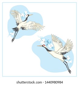 Crane bird set. illustration on white background