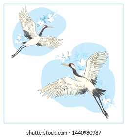 Crane bird set. illustration on white background