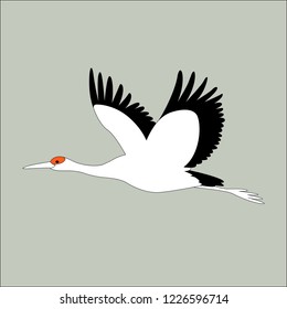 crane bird  vector illustration flat style 