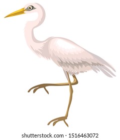 Crane bird, vector illustration, isolated background