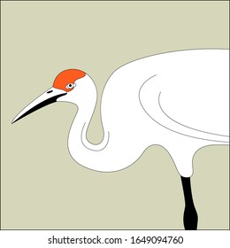 crane bird , vector illustration,  lining draw, profile side