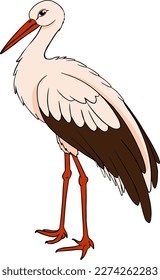 Crane bird. Vector stork, sketch of hand drawn bird.
