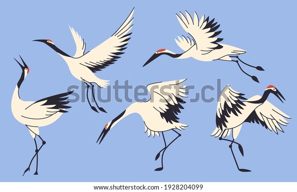 Crane birds collection isolated vector\
illustration. Stork, egret, heron design element set. Asian\
creature, Japane wildlife in cartoon\
style.