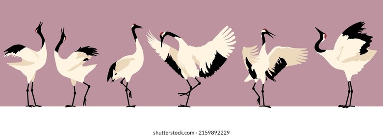 Crane birds vector illustration. Japanese cranes courtship dance. Set of white cranes in different positions. Symbol of traditional asian art, isolated flat vector illustration on pink background.