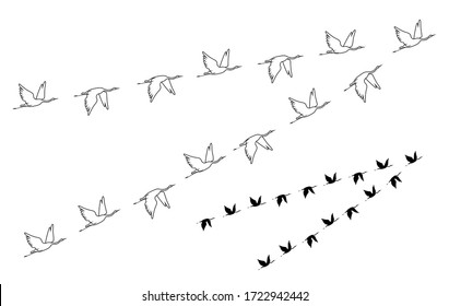 Crane. Flock of birds flying. Vector outline and black image silhouette.