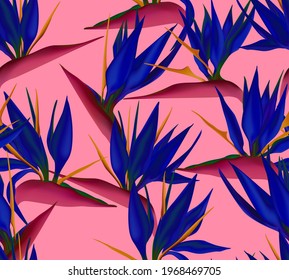 Crane flower blossom also known as bird of paradise. South Africa flowering plant background illustration on white. Fabric print, textile, wrapping paper seamless pattern.