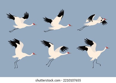 Crane flying. Cute bird in different poses. Vector illustration for prints, clothing, packaging, stickers.