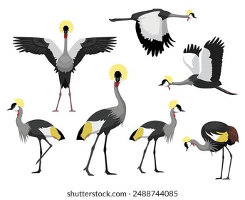 Crane Grey-Crowned Bird Exotic Various Poses Cartoon Vector Character