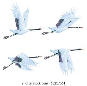 crane illustration