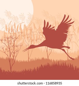 Crane landscape background vector
