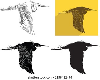 Crane, Long necked bird, Big feathered