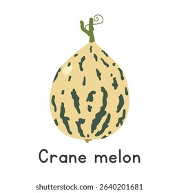 Crane melon flat vector illustration. Crane melon cartoon clipart style isolated on white background. Melon and Gourd concept