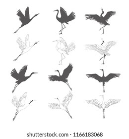 crane sketch, bird flying over white background, set, silhouette, vector illustration