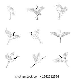 crane sketch, bird flying over white background, set, vector illustration