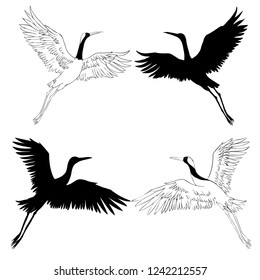 crane sketch, bird flying over white background, set, silhouette, vector illustration