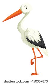 Crane standing on one leg illustration