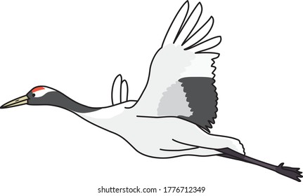 Crane is a typical Japanese bird that often appears in old tales