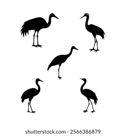 Cranes birds silhouette Vector Bundle