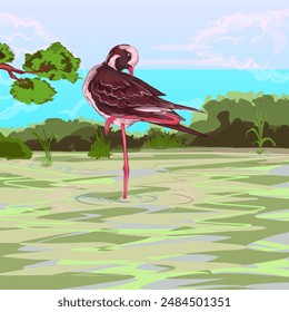 cranes in a lake swamp with a forest background and cloudy blue sky