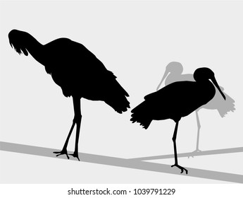 Cranes Silhouette Set
Cranes Silhouette Set is a vector illustration.