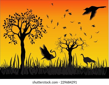 Cranes silhouettes