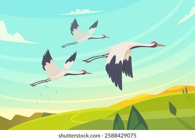 Cranes in the sky. wild flying beauty birds outdoor. vector background