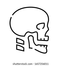 Cranial bone structure line icon, concept sign, outline vector illustration, linear symbol.