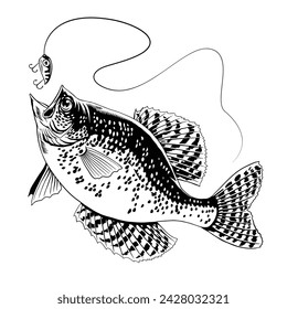 Crappie Fish Catching The Fishing Lure Black and White