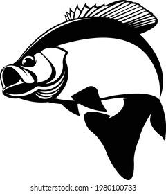 Crappie Fish Logo, Fresh and Unique Crappie fish jumping out of the water. Great to use as your Crappie fishing. 