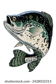 Crappie Fisch Vintage handgezeichnete Illustration