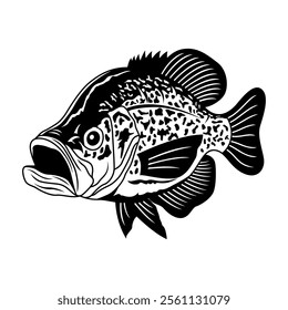 crappie fishing illustration logo vector image t shirt