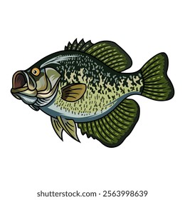 crappie fishing illustration logo vector image t shirt