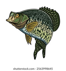 crappie fishing illustration logo vector image t shirt