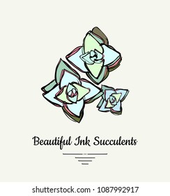 Crassula hand drawn succulent vector isolated illustration. Modern ink succulent plant logo, icon, poster, banner, postcard. Minimalistic floral illustration floristry shop. Beautiful succulent plant.