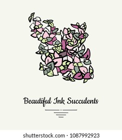 Crassula hand drawn succulent vector isolated illustration. Modern ink succulent plant logo, icon, poster, banner, postcard. Minimalistic floral illustration floristry shop. Beautiful succulent plant.