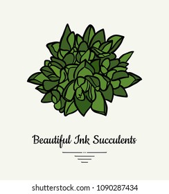 Crassula hand drawn succulent vector isolated illustration. Modern ink succulent plant logo, icon, poster, banner, postcard. Minimalistic floral illustration floristry shop. Beautiful succulent plant.