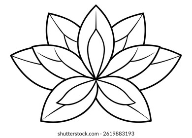 Crassula Leaf Line Art Design for Botanical Style Illustration  