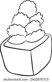 Crassula Succulent Plant Black and white Vector Line Art Illustration