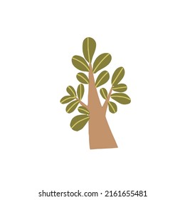 crassula tree clip art icon, vector eps 10 exotic crassula , Scandinavian tree clip art, scrassula money tree sticker, children wear print, hobbit plant logo svg