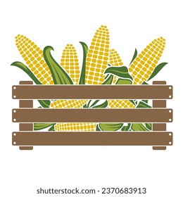 crate with corn cobs isolated on white background
