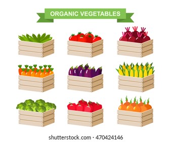 Crates with farmers vegetables set. Flat vector illustration isolated on white background