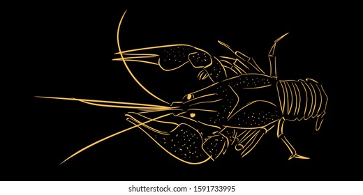 Crawfish. Hand Drawn. Vector Sketch Illustration.