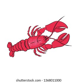 Crawfish line vector illustration