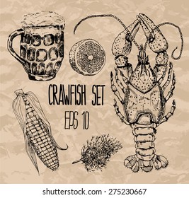 Crawfish Set. Vector Illustration.