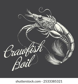 Crawfish tee design, Unisex Women's Men's Shirt, Crayfish Shirt, Fishing Shirt, Funny Fish tee, Vintage retro print, seafood Crawfish sketch, drawing artwork grunge apparel seafood tee design