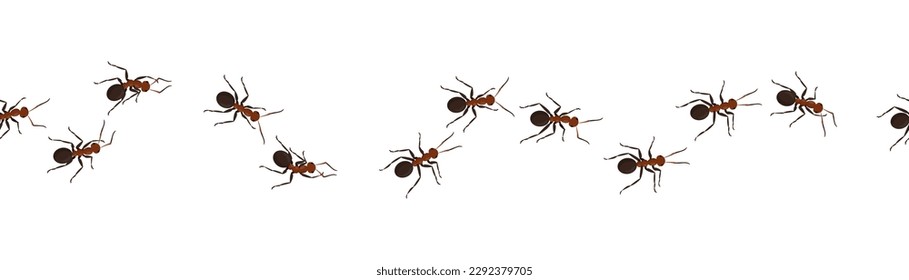 Hormigas torrenciales. Bugs marchando en la pared. Trabajadores de insectos. Recorrido de línea. El grupo de las termitas camina hacia casa. Plagas en camino. Pequeña cadena de animales artrópodos. Ilustración aislada de corriente del vector